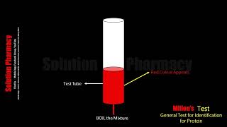 Millons test  Test for Tyrosine Amino acid  Biochemical Test of Protein  Animation Video Hindi [upl. by Thurstan]