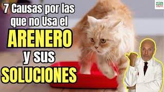 🆘 LAS 7 CAUSAS POR LAS QUE UN GATO NO USA EL ARENERO Y SUS SOLUCIONES 🆘 [upl. by Lebezej]