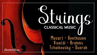 The Best Strings Pieces In Classical Music  Mozart Beethoven Vivaldi Brahms Dvorak Tchaikovsky [upl. by Aeslahc]