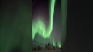 Northern Lights in Abisko Sweden  11 October 2024 [upl. by Aikemet]