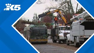 How does recent bomb cyclone compare to past Washington wind storms [upl. by Unhsiv352]