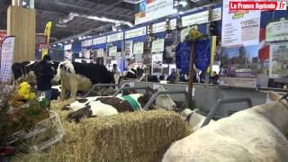 Sia 2014  Les lycées agricoles présentent une vache pour le TNLA [upl. by Zeiler]