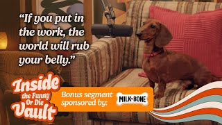 Meet Senzu The MilkBone Dog Whos Taking Hollywood By Storm [upl. by Athiste]