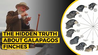 The Hidden Truth About Galapagos Finches As Told by Charles Darwin [upl. by Burris]