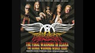 Aerosmith  Live in Japan Osaka 2013 Rare Tracks [upl. by Fennie]