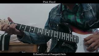 EchoesLive at Pompeii Guitar Solo [upl. by Dannye]