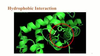 NonCovalent Interactions [upl. by Jodee]