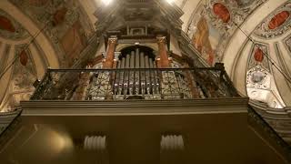 Concert for five organs in the cathedral of Salzburg Austria [upl. by Noivaz]