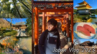 revisiting places and celebrating my cousins bday in Kyoto  Japan Vlog Part 4 [upl. by Acenom]