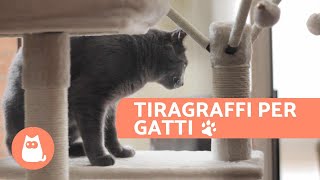 Tiragraffi per gatti  Vantaggi e dove posizionarlo [upl. by Oznarol]