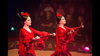 Flamenco circus flabaret [upl. by Tomchay860]