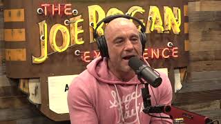 Joe Rogan Experience 2101  Bret Weinstein [upl. by Yolane]