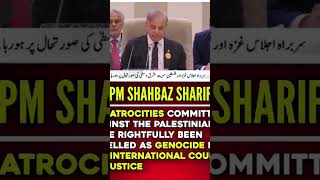 Mi shabazz Sharif Awami PM Pakistan [upl. by Leak340]