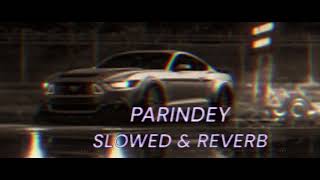 PARINDEY SLOWED amp REVERB SONG [upl. by Madelyn]