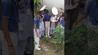 Tree plantation 🌳🌳 plantation tree plants savetrees cps school [upl. by Nnaeiram]