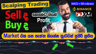 New Trick Earn 100 Per hour Scalping Trade  Using MACD  RSI indicator Binance and XM Trading [upl. by Lowrance]