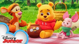 Playdate with Winnie the Pooh  Piglet Tigger and the Cardboard Box  Episode 4  disneyjr [upl. by Alamac]