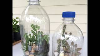 How to make Plastic Bottle Terrarium [upl. by Nnylyaj19]