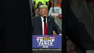 Trumps Tariff Threat A Game Changer for Canada [upl. by Naneik654]