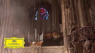 Konstantin Reymaier – Bach Toccata The New Organ at St Stephens cathedral Vienna [upl. by Refinnej663]