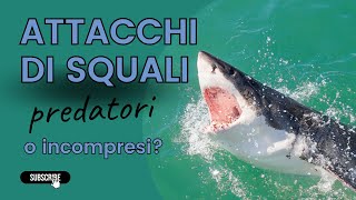 ATTACCHI DEGLI SQUALI predatori o incompresi [upl. by Janessa596]