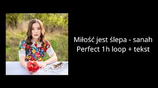 Miłość jest ślepa  sanah  perfect 1h loop  tekst [upl. by Floria705]