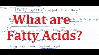 3 Fatty Acids What are they [upl. by Aniluap]