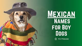 Mexican Dog Names  Popular Male Puppy Names [upl. by Aryan]