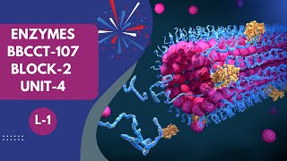 L1 Enzymes  BBCCT107 Block2 Unit4  IGNOU BSC Biochemistry [upl. by Hoebart]