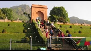 Chashme Shahi  Beautiful Mughal Garden at Srinagar India  Kashmir Tourism HD Video [upl. by Manbahs]