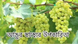 আঙুর খাওয়ার উপকারিতা  Angur khawar upokarita  angur er gunagun [upl. by Laohcin749]