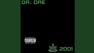 Dr Dre  The Next Episode feat Snoop Dogg Nate Dogg amp Kurupt [upl. by Esojnauj]