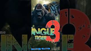 Tiger 3 A Jungle Presentation shortflim comedy show [upl. by Haze]