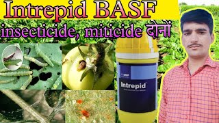 basf intrepid insecticide। intrepid insecticide acaricide । intrepid insecticide basfintrepid [upl. by Tiffie813]