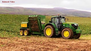 Lifting the Fodder Beet with John Deere [upl. by Urial]