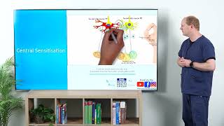 Pain 1C Central Sensitisation [upl. by Yenor]