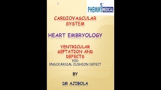 Heart Embryology Part 2  VSD Endocardial Cushion Defect [upl. by Howenstein]