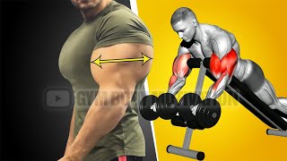 Biceps and Triceps Workout at Gym for Beginners [upl. by Nostets]