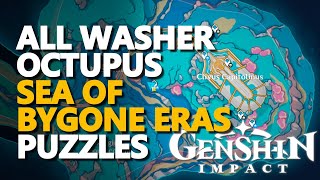 All Washer Octupus Sea of Bygone Eras Puzzles Genshin Impact [upl. by Bodnar180]