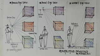 Perspective Drawing  About Perspective View  Human Eye View Birds Eye View and Worms Eye View [upl. by Shandee323]