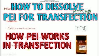 How to dissolve PEI for transfection ll mechanism of PEIDNA complex ll Xgene and ProteinX [upl. by Dur284]