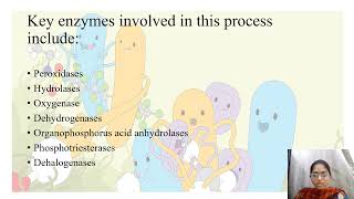 microbial degradation of environmental pollutants  pesticides [upl. by Namaan]