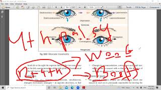 second lecture in strabismus [upl. by Bruning191]