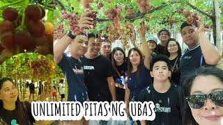 Grapes Farm in Bauang La Union l Ang sarap mamitas ng mga ubas dito wantusawang free taste [upl. by Enrak978]