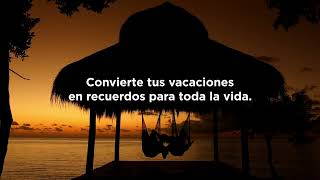 Vive unas vacaciones inolvidables en Inclusive Collection  Noches Palacio Casino [upl. by Kcirted]