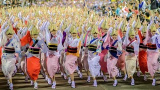 阿波おどりファン必見！徳島市阿波おどり総踊り！！踊り子さんの笑顔がすてき！ Awaodori in Tokushima Japan [upl. by Ludeman]