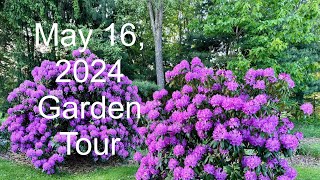 Garden Tour May 16 2024 [upl. by Tennos]