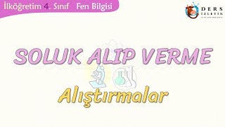 SOLUK ALIP VERMEALIŞTIRMALAR [upl. by Eselahc]