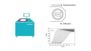 Introduction to Analytical Ultracentrifugation AUC 101 [upl. by Adhamh345]