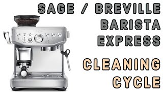 Quick Cleaning Guide  Sage  Breville Barista Express Impress [upl. by Czarra628]